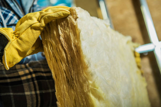 Best Geographic-Specific Insulation Services in Cheat Lake, WV