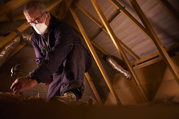 Best Insulation Maintenance and Repair in Cheat Lake, WV