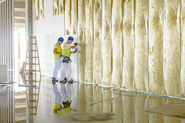 Best Spray Foam Insulation in Cheat Lake, WV